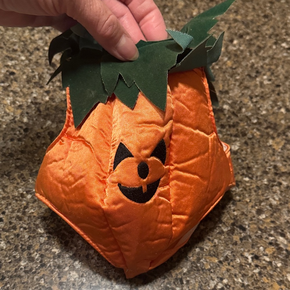 Tiny American Girl sized 15" Doll Pumpkin Halloween Costume